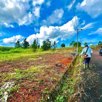 Cách Điểm Xuống Cao Tốc 1,8Km Ngay Hồ Nam Phương Phường Lộc Phát Tp Bảo Lộc Giá Cực Rẻ