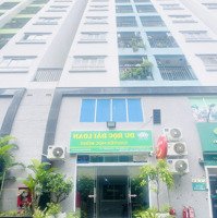 Bán Gấp Shophouse 123M2 Tại 8X Plus Trường Chinh, Giá Bán 3,55 Tỷ Vnd