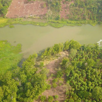 Siêu Phẩm View Hồ Đạt Lý Rành Cho Nghỉ Dưỡng, Homestay