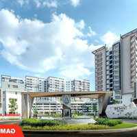 Rổ Hàng Tháng 10 - Celadon City - Giá Gốc Từ Cđt Gamuda Land - Ck Lên Tới 17% - Liên Hệ: 0984.975.139