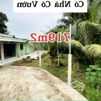 Bán Nhà Vườn Chính Chủ, Ngang 26,5M - Dài 24,5M Ấp Long Hoà B, Xã Long Định, Châu Thành, Tiền Giang