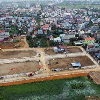 Đấu Giá Hoa Động, Tp Thuỷ Nguyên Điểm Sáng Đầu Tư Cuối Năm 2024