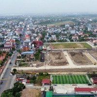 Đấu Giá Hoa Động, Tp Thuỷ Nguyên Điểm Sáng Đầu Tư Cuối Năm 2024