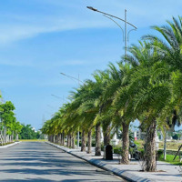 Bán Đất Nền Dự Án Tại Danko Avenue, Thái Nguyên - 96M2 Pháp Lý Đầy Đủ