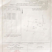 Hàng Hiếm Tại Bàu Đồn, Gò Dầu, Tây Ninh - Đất 1000M2 Thổ Cư Giá Tốt Chỉ 20 Tỷ Vnd Có Thương Lượng