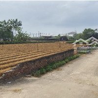 Bán Mảnh Đất 500M Tại Lương Tài - Bắc Ninh