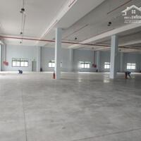 Cho thuê xưởng 15000m2 Phường Linh Trung, Tp Thủ Đức