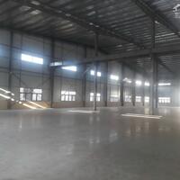 Cho thuê kho 5000m2 KCN Long Hậu, Cần Giuộc, Long An