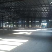 Cho thuê kho 5000m2 KCN Long Hậu, Cần Giuộc, Long An