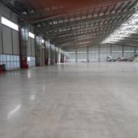 Cho thuê xưởng 4000m2-20000m2 KCN Xuyên Á, Mỹ Hạnh Bắc, Đức Hòa, Long An