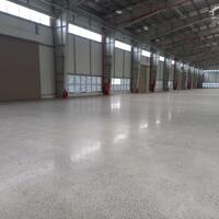 Cho thuê xưởng 4000m2-20000m2 KCN Xuyên Á, Mỹ Hạnh Bắc, Đức Hòa, Long An