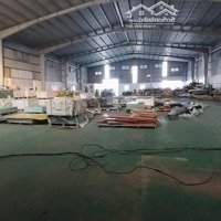 Cho Thuê 2500M2.Xưởng Kiến An Bàn Giao Tiêu Chuẩn Full.vị Trí Trung Tâm Quận.vị Trí Đẹp. Xưởng Mới.