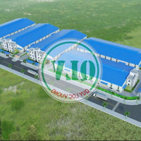 Cho Thuê Nhà Xưởng Kv 40.000M2 Gồm 5 Xưởng 5.000M2 Ở Kcn Hải Sơn Long An