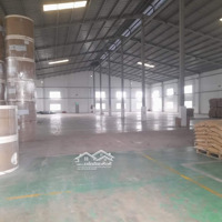 Cho Thuê Kho Tại Phường Thuận Giao, 135 Triệu, 2300M2, Pccc Tự Động, Mặt Tiền 17M