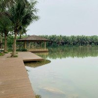 Bán Đơn Lập Biệt Thự Đảo Ecopark-300-480M-1000M2