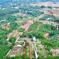 Ngộp ! Bán Đất Phú Hội, Nhơn Trạch, Đồng Nai Giá Tốt Chỉ 1,85 Tỷ Vnd - 250M2