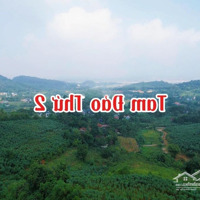 Độc Đẹp Nhất Khu - Lưng Tựa Núi + View Trực Diện Sông Đà - Ví Như Tam Đảo Thứ 2. Liên Hệ: 0903.455.996