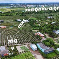 Bán 2 Lô Đất Thổ Ở Ấp Bào Dài , Thanh Phú Long , Châu Thành , La _ Diện Tích : 5 X 25 ( 126M2 ).