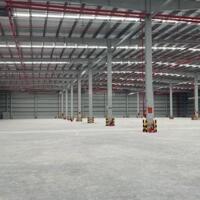 Cho thuê xưởng 3200m2 KCN Long Hậu, Xã Long Hậu, Huyện Cần Giuộc, Long An