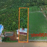 Siêu Phẩm Duy Nhất Tại Tân Châu, Di Linh, Lâm Đồng - Bán Trang Trại 500M2 Giá Bán 1,4 Tỷ Vnd