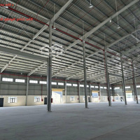 Chính Chủ Cho Thuê Nhà Xưởng 26.500 M2 Trong Khu Công Nghiệp Huyện Bến Lức Tỉnh Long An