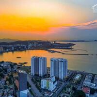 Chính chủ quỹ căn hộ View Biển chung cư Saphire S2 Bến Đoan, Tp. Hạ Long giá siêu tốt để ở, nghỉ dưỡng hoặc đầu tư...