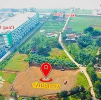 Bán Gấp Đất Đẹp Tại Đường Tỉnh Lộ 317, Giá Tốt Chỉ 500 Triệu, Diện Tích 199M2