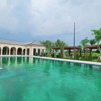 Chính Sách Park Village Mừng Sinh Nhật Tập Đoàn Nam Long 11/2024 Quà Tặng Xe Mec Trị Giá Bán 2,3 Tỷ