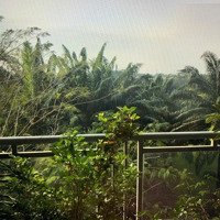Cho Thuê Căn Hộ Chung Cư Mỹ Viên 14 Triệu/Th(Tl) 95M2, 2 Phòng Ngủ Full Nội Thất Tại Pmh, Quận 7. Liên Hệ:0906611859