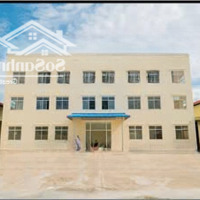 Bán Xưởng Kv 19.795M2, Gồm 4 Xưởng Và 1 Văn Phòng Tại Đức Hòa Long An