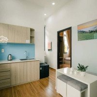 Giảm Giá Bán Gấp Homestay Kinh Doanh Đường Vạn Hạnh , Đà Lạt 553M2 Giá Chỉ 23 Tỷ