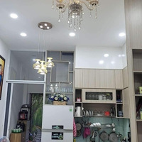 Nguyễn Ngọc Nhựt Tân Phú 4 Tầng Btct Nở Hậu Tặng Nội Thất Giá Bán 4.8 Tỷ