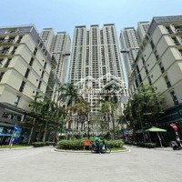 Chính Chủ Bán Shophouse Chân Đế The Terra An Hưng, 77M2 Sổ Đỏ Trao Tay, Bao Phí Sang Tên