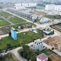 Cần Chuyển Nhượng Gấp 300M2 Lô Biệt Thự Khu B Cienco5 Mê Linh. Sổ Đỏ Rồi Giá Chỉ Nhỉnh 30 Triệu/M2