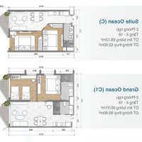 Bán Căn Hộ Cạnh Biển Vũng Tàu Bàn Giao Nhà Vào Năm 2025