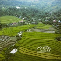 Bán Trang Trại - Khu Nghỉ Dưỡng Tuyệt Đẹp Tại Xã Chiềng Sơn, Mộc Châu - Ngắm Trọn Đỉnh Pha Luông