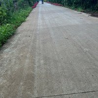 Mới Ra Lò 4 Lô F0 Ngay Trung Tâm Xã Liên Hiệp,Diện Tích5X50M, Cn 250M2 Có 100M2 Thổ Cư Giá Bán 1 Tỷ 250