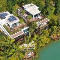 Bán Biệt Thự Đảo Ecopark 300M Giá Tốt