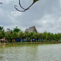 Bán Biệt Thự Đảo Ecopark 300M Giá Tốt