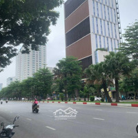 Hoàng Công Chất (Siêu Hiếm - Kim Cương Rồng) - Kinh Doanh, 3 Ô Tô Tránh, 100M2 5T, Giá Chỉnh 22Tỷ