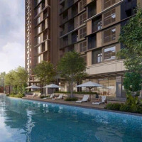 The Senique Vinhomes Ocean Park, Giá 68 Triệu/M2, Ck 13%, Quỹ Căn Từ Tầng 5, Căn 2Pn