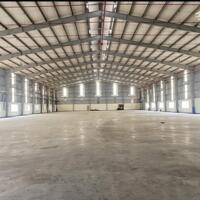 Cho thuê xưởng 3200m2 KCN Long Hậu, Huyện Cần Giuộc, Long An