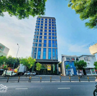 Bán Building Siêu Khan Hiếmmặt Tiềnphạm Ngọc Thạch - Dt: 19 X 35M - Hầm + 13 Lầu - Giá Bán: 300 Tỷ Tl