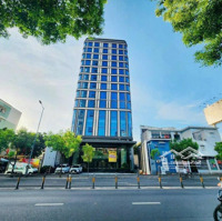 Bán Building Siêu Khan Hiếmmặt Tiềnphạm Ngọc Thạch - Dt: 19 X 35M - Hầm + 13 Lầu - Giá Bán: 300 Tỷ Tl