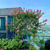 Bán Aqua Bay Sky Residences, Thiết Kế 2 Phòng Ngủ 2 Vệ Sinh, 1 Phòng Phụ), 3 Cửa Sổ, 2 Ban Công