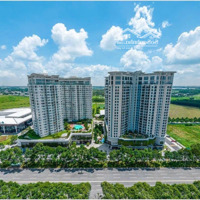 Orchard Hill: Giỏ Hàng 20 Căn Cuối Cùng Mua Trực Tiếp Cđt. Chiết Khấu 11% + 100 Trd. Tư Vấn 24/7