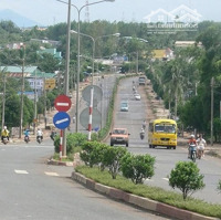 Chủ Kẹt Vốn Bán Nhanh Vườn Điều Cạnh Trường Tiểu Học Long Hưng- Giá Bán 155 Triệuiệu