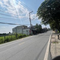 Gấp! Chuyển Đi Nơi Khác Ở Cần Bán Đất 100M2 Mtđ Bùi Công Trừng, Nhị Bình, Hóc Môn. Shr