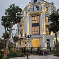 Siêu Phẩm Duy Nhất Tại Elegant Park Villa Thạch Bàn - Lô Góc 3 Mặt Thoáng 103,5 Tỷ, 375M2,