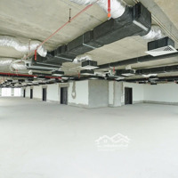 Bán Sàn Thương Mại Hạng A 150 M2 Trung Tâm Quận Hai Bà Trưng Đang Cho Thuê 900 Triệu/ Năm Giá Bán 8 Tỷ